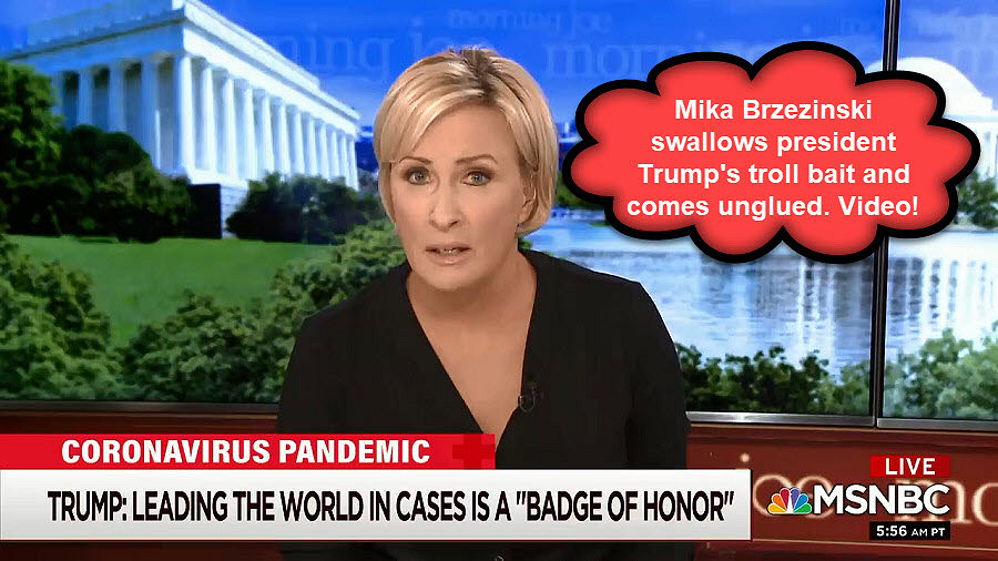 mika Brzezinski swallows twitter bait