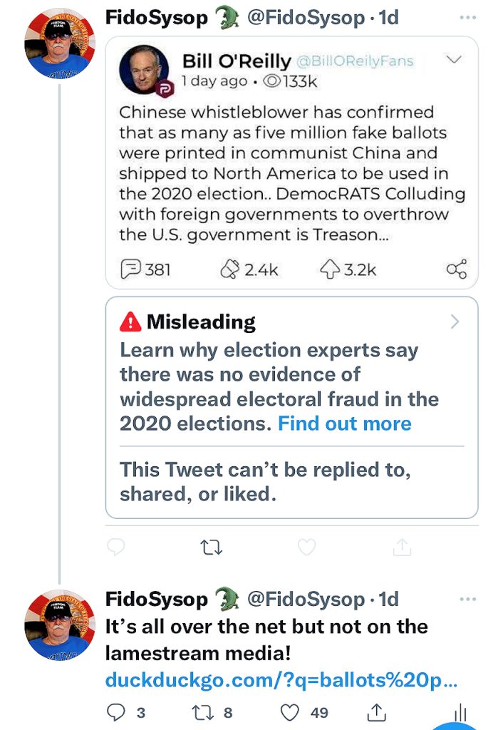 FidoSysop Five Million China Ballots